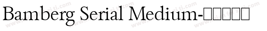 Bamberg Serial Medium字体转换